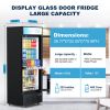 Glass Door Refrigerator Commercial Beverage Refrigerators with LED Light, 15 Cu.ft and 5 Shelves, Display Refrigerator for Cafe Restaurant Store Bar,